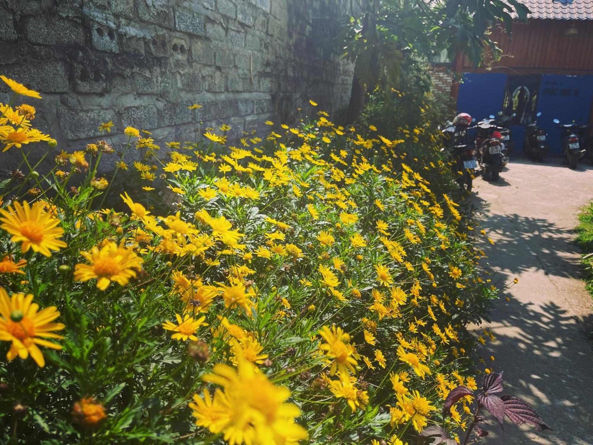 Moc Home Sapa Buitenkant foto